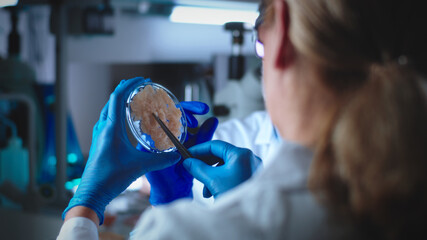African chemist looking at lab-grown vegan meat sample for microbiology expertise.