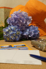 Hydrangea flowers, sun hat, postcards and pen, map, photo camera on the table. Writing greetings on a postcard from summer vacation travel.
