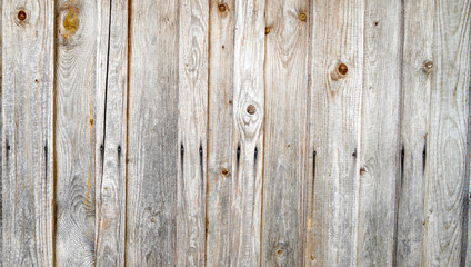 Fototapeta premium Wood texture