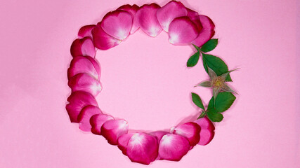 Decorative round frame with pink rose petals and leaves on pink background. Flat lay - copy space....