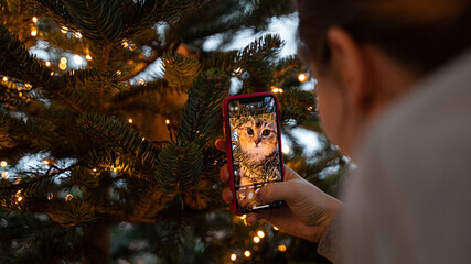 a girl takes a photo of her cat on the phone who is sitting on a Christmas tree - 444340750