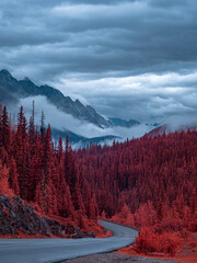 Winding Road, Disappearing into a red Tree Forest, with Misty Mountains and cloudy skies, shot in...