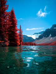Otherworldly Red Forest Landscape of a lake in the mountains of Canada