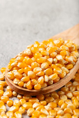 Dried corn. Raw corn for popcorn on the table.