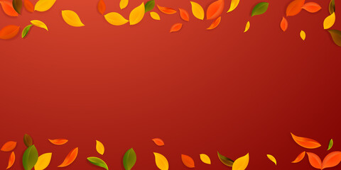 Falling autumn leaves. Red, yellow, green, brown c