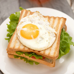 Breakfast sandwich. Grilled bread ot toasts with lettuce and fried egg on top. Close-up shot. Soft focus.