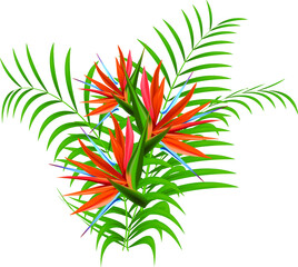vector exotic plants sterlitzia flowers with palm leaves illustration
