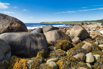 A rocky beach next to a body of water, along the coastal trail - Coastal Trail, Gros Morne, Newfoundland, Canada © Michael