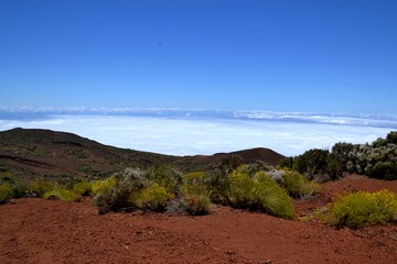 Some clouds and plants in Tenerife