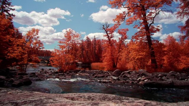 Otherworldly Orange Landscape with a Stream, Rocks, Trees and a Bridge in the Distance