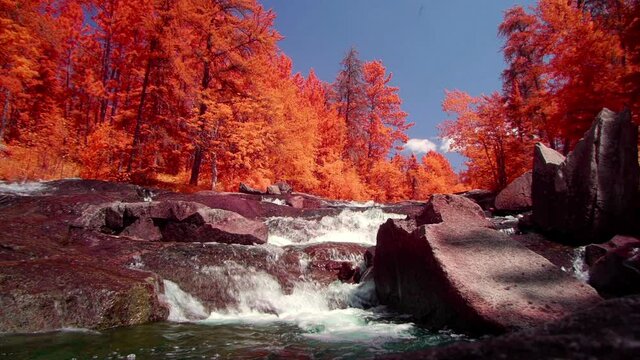 Otherworldly Orange Forest Landscape with a Stream, and Boulders