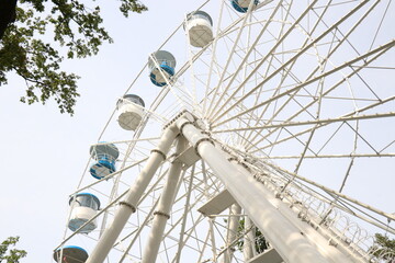 Ferris wheel in the park in summer 