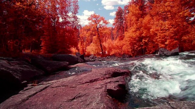 Otherworldly Orange Forest Landscape with a Stream, and Boulders