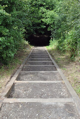 Obraz premium Wooded Hill with Long Descending Timber & Soil Staircase 