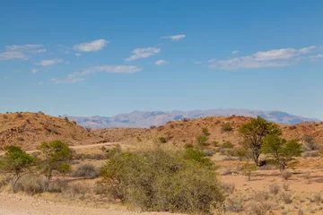 Foto op Plexiglas Im Erongogebirge, Namibia © AnnaReinert