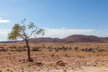 Auf den Weg ins Erongogebirge, Namibia