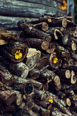 firewood with flower