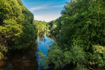 Fototapeta na wymiar Small overgrown river among green trees