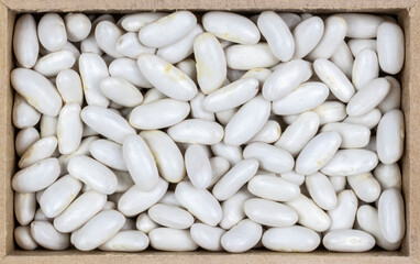 top view of white bean (Phaseolus vulgaris) seeds in a rectangular wooden box.