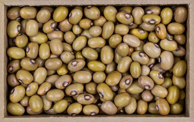 top view of bolinha beans (Phaseolus vulgaris) seeds in a rectangular wooden box.