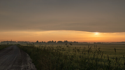 Summer sunrise. The road and the meadow at sunrise. Morning mist.