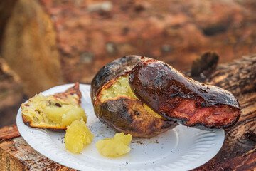 Fried sausage and potato on a paper plate.