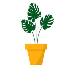 Houseplant Monstera Deliciosa leaf from tropical forests in stylish pot. Urban jungle, trendy home décor. Vector illustration.