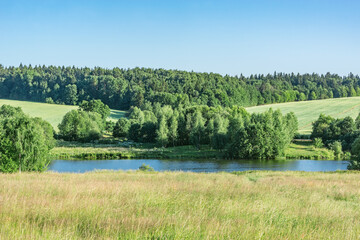 Fototapeta na wymiar Summer european countryside view at day time.