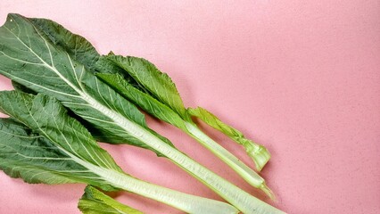 Caesin leaf vegetable plant Brassica juncea L. Family of cabbages in the form of cauliflower,...