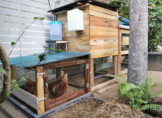 Small homemade chicken coop made from wood at home © SUWIWAT