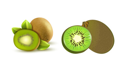 Obraz premium kiwi fruit or chinese gooseberry(Actinidia deliciosa) isolated on a white background