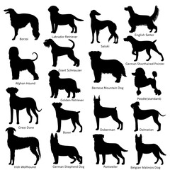 large dog breeds silhouette bundle