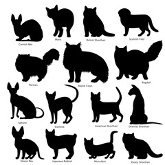 cat breeds silhouette bundle