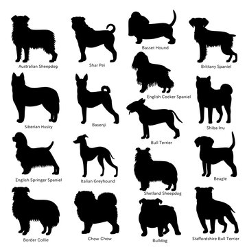 medium dog breeds silhouette bundle