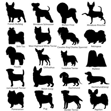 small dog breeds silhouette bundle