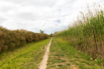 Fototapeta premium Awesome Green Sceneries of Natural Reserve of Ciane River (Riserva Naturale Fiume Ciane-Saline di Siracusa) in Syracuse, Sicily, Italy.