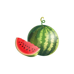 watermelon fruit(Citrullus lanatus) isolated on a white background