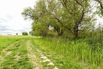 Awesome Green Sceneries of Natural Reserve of Ciane River (Riserva Naturale Fiume Ciane-Saline di Siracusa) in Syracuse, Sicily, Italy.