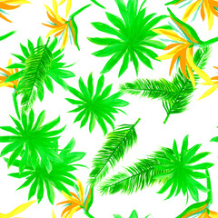 Fototapeta na wymiar Natural Pattern Leaf. Green Seamless Textile. Organic Tropical Design. White Isolated Nature. Drawing Illustration. Decoration Texture. Wallpaper Plant.