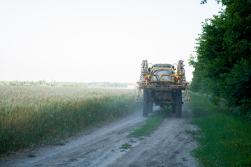 A tractor drives past an organic wheat field. Harvesting