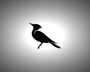 Woodpecker Silhouette. Isolated Vector Animal Template for Logo Company, Icon, Symbol etc