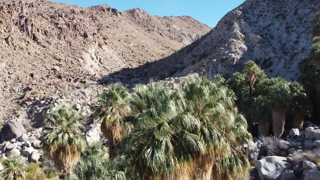 Joshua Tree National Park