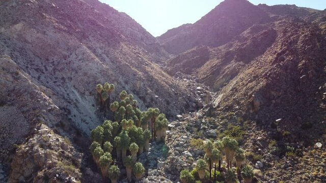 Joshua Tree National Park