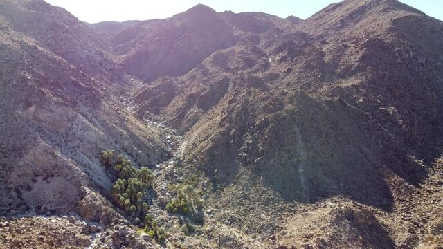 Joshua Tree National Park