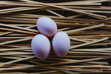 The duck eggs sit beautifully on the wooden floor.
