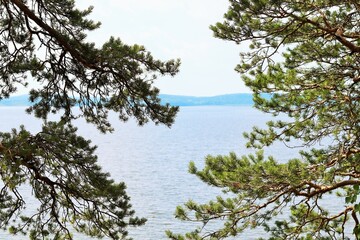 Mountain lake view through tree branches 