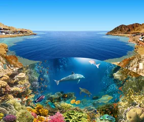 Gardinen Canyon Scuba Diver over underwater canyon  © Solarisys