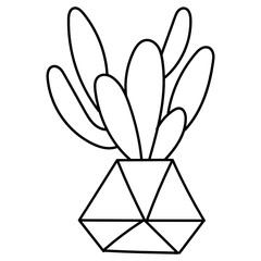 boho cactus line icon