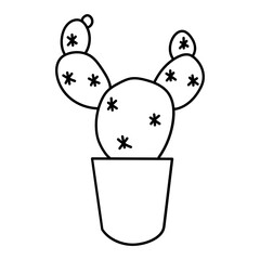 boho plant line icon