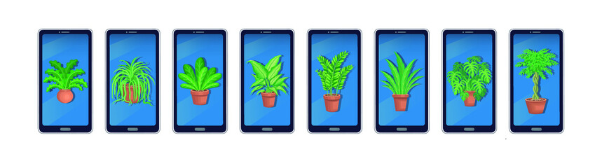 Various green house plants pictures photos on smartphone screen set online vector illustration.
